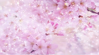 Unduh 640 Background Abstrak Wedding Paling Keren