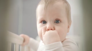 Portrait Of A Baby With One Tooth Stock Video Footage Storyblocks