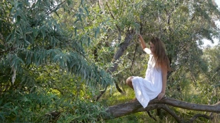 Girl sitting on a tree dangling their legs Stock Video Footage ...
